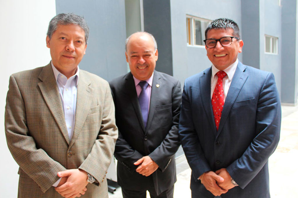 RMM Consultores